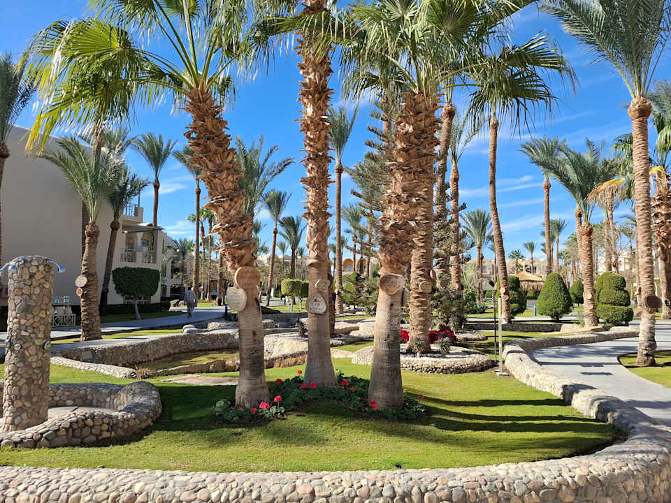 Gartenanlage Jaz Makadina