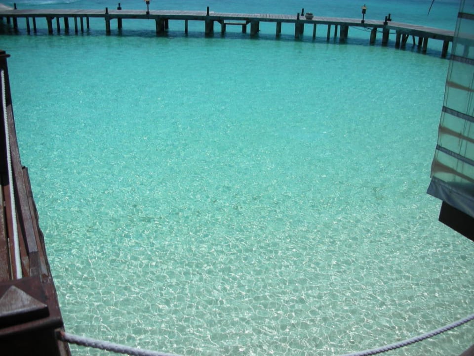 Das Meer Eri Maldives