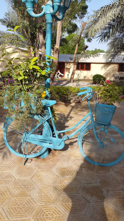 Gartenanlage BM Beach Resort