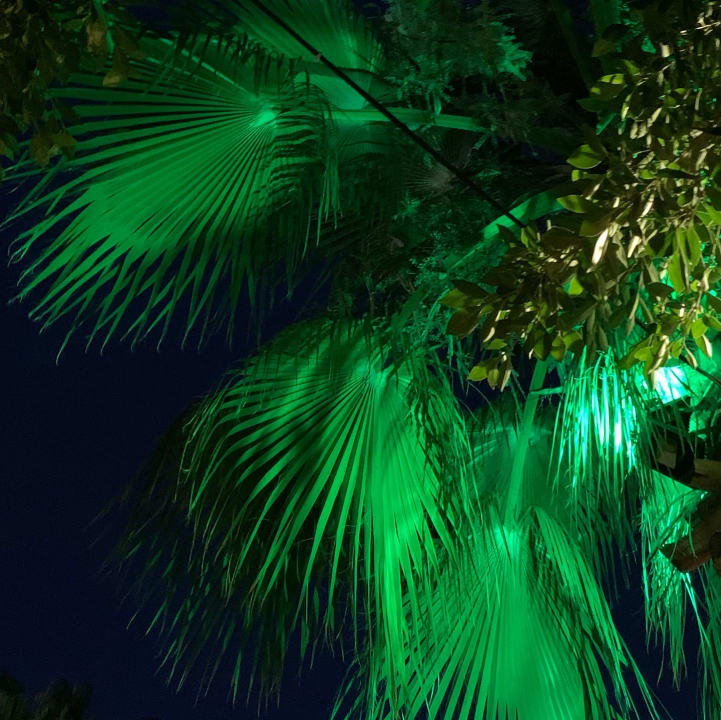 Gartenanlage Hane Family Resort