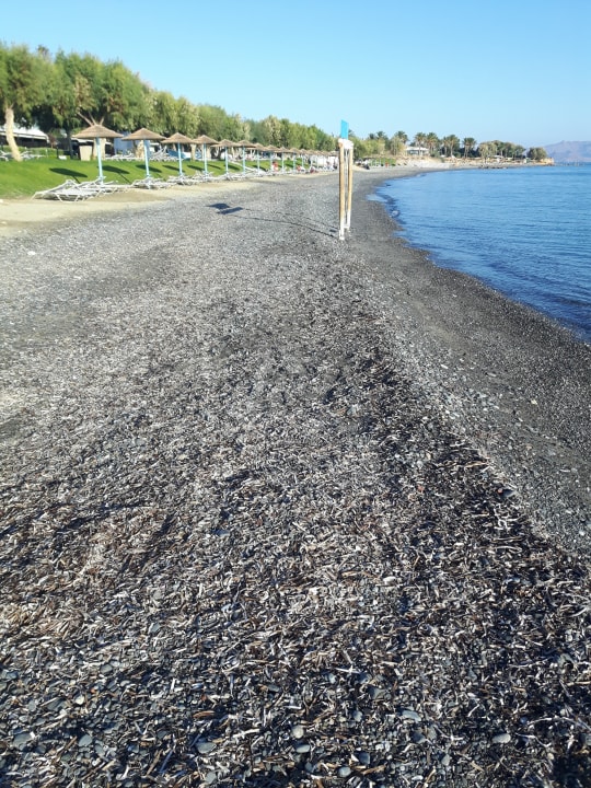 Strand TUI BLUE Oceanis Beach and Spa Resort