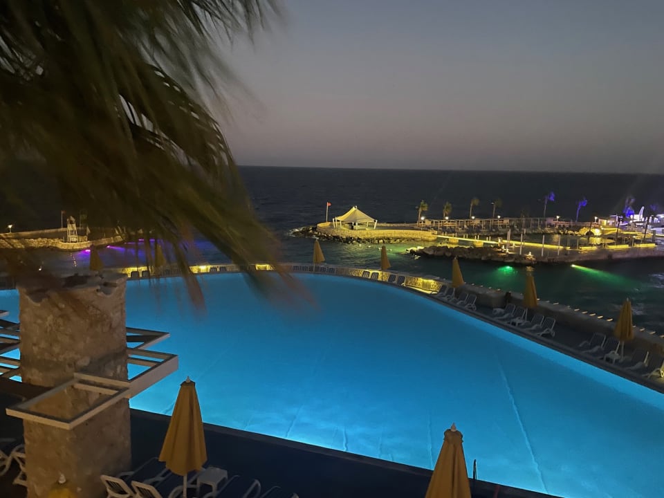 Pool Pickalbatros Citadel Resort