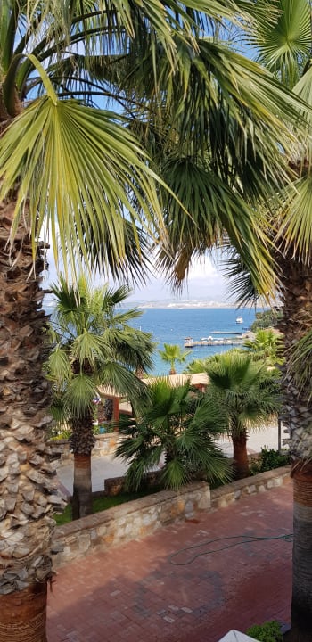 Gartenanlage TUI MAGIC LIFE Bodrum - Adult Only (16+)