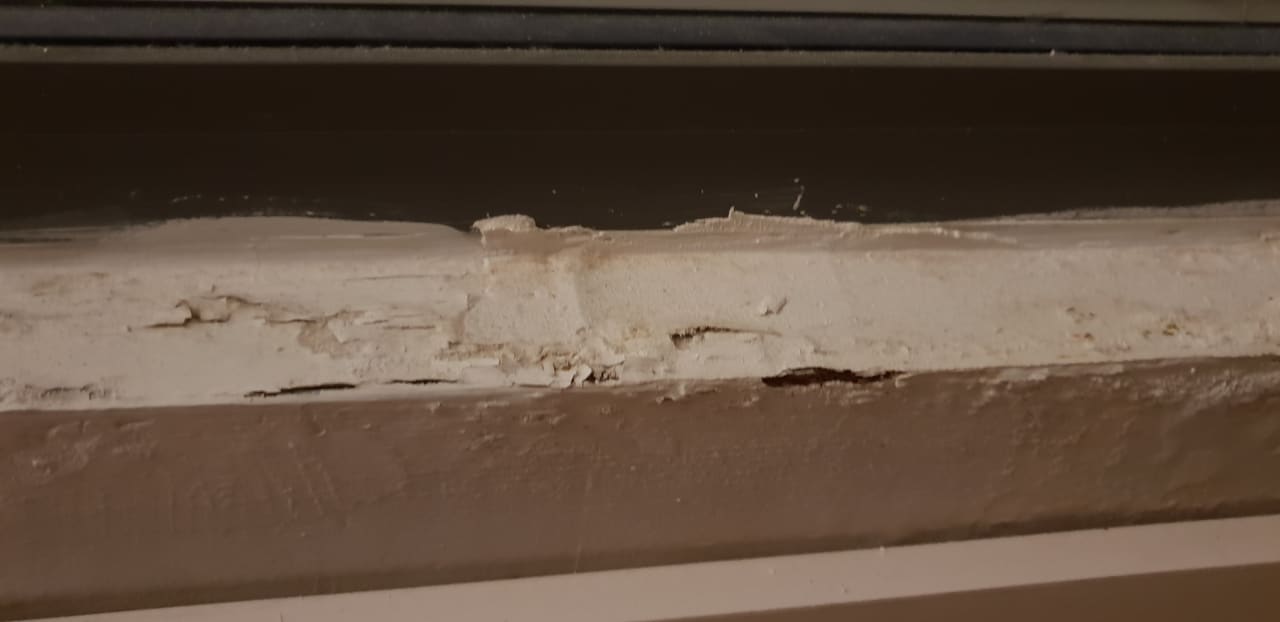 Zimmer Hotel Orfeus Park