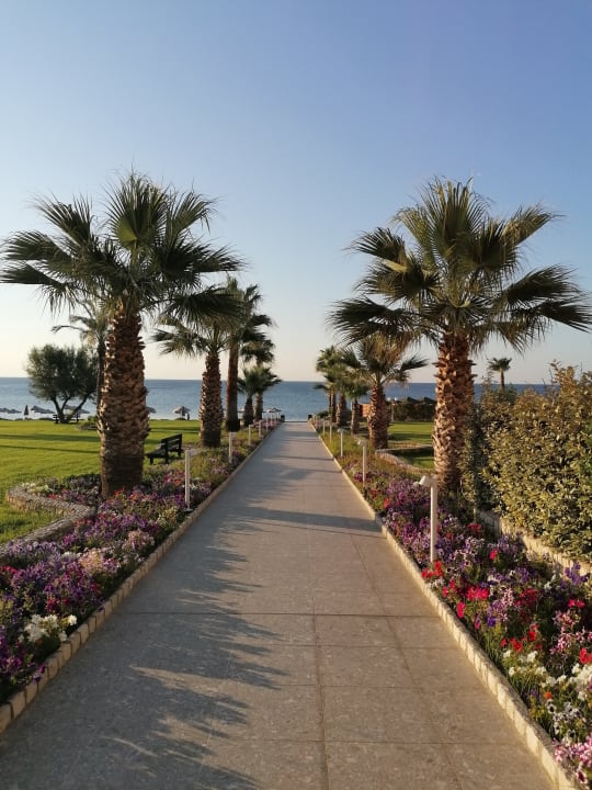 Strand Rodos Palladium Leisure & Wellness