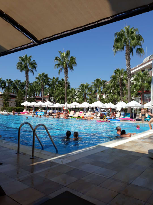 Pool Hane Family Resort