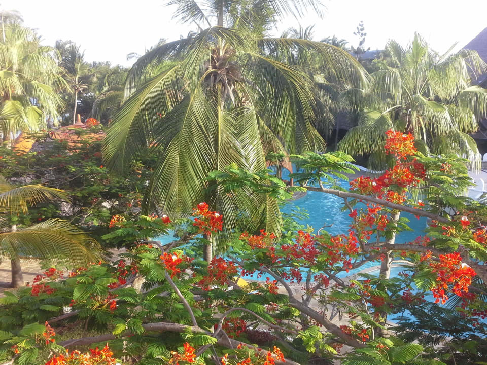 Blick aus dem Fenster Hotel Southern Palms Beach Resort