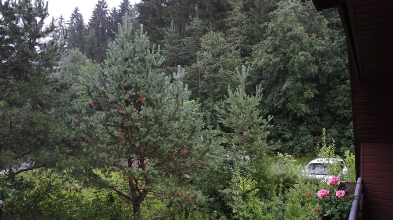 Вид из номера Feriendorf am Maltschacher See