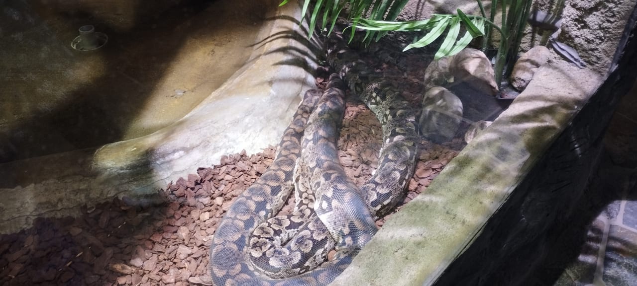 Sport & Freizeit Ferienwohnungen Ferienpark Weissenhäuser Strand