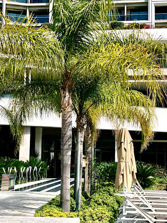 Außenansicht The Sense Deluxe Hotel