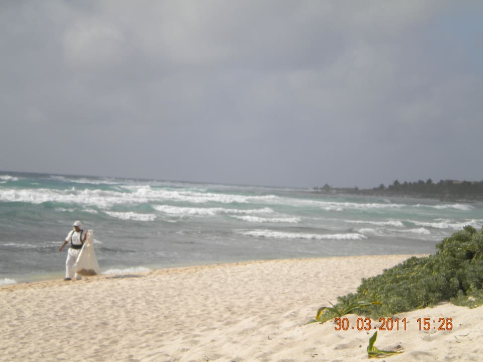 Jeden Tag wurde der Strand gereinigt Grand Oasis Tulum Riviera - All Inclusive