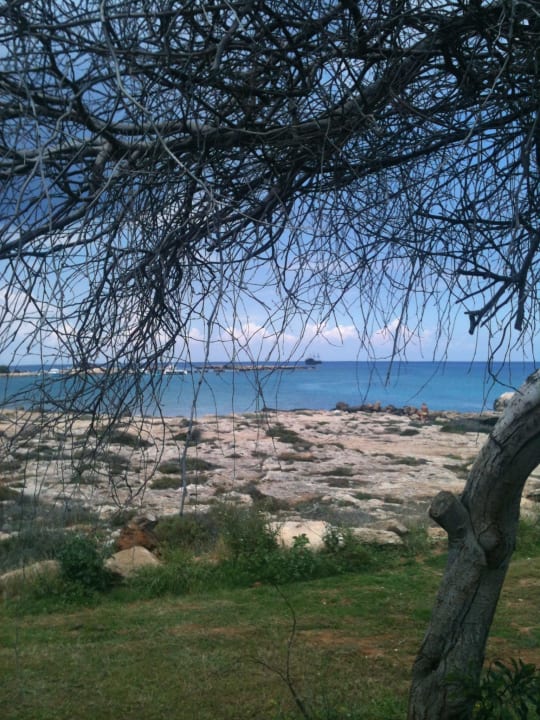Gartenanlage mit Liegebetten Hotel Mimosa Beach