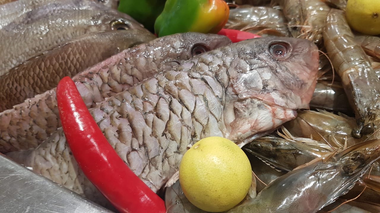 Gastro Pickalbatros Dana Beach Resort - Hurghada