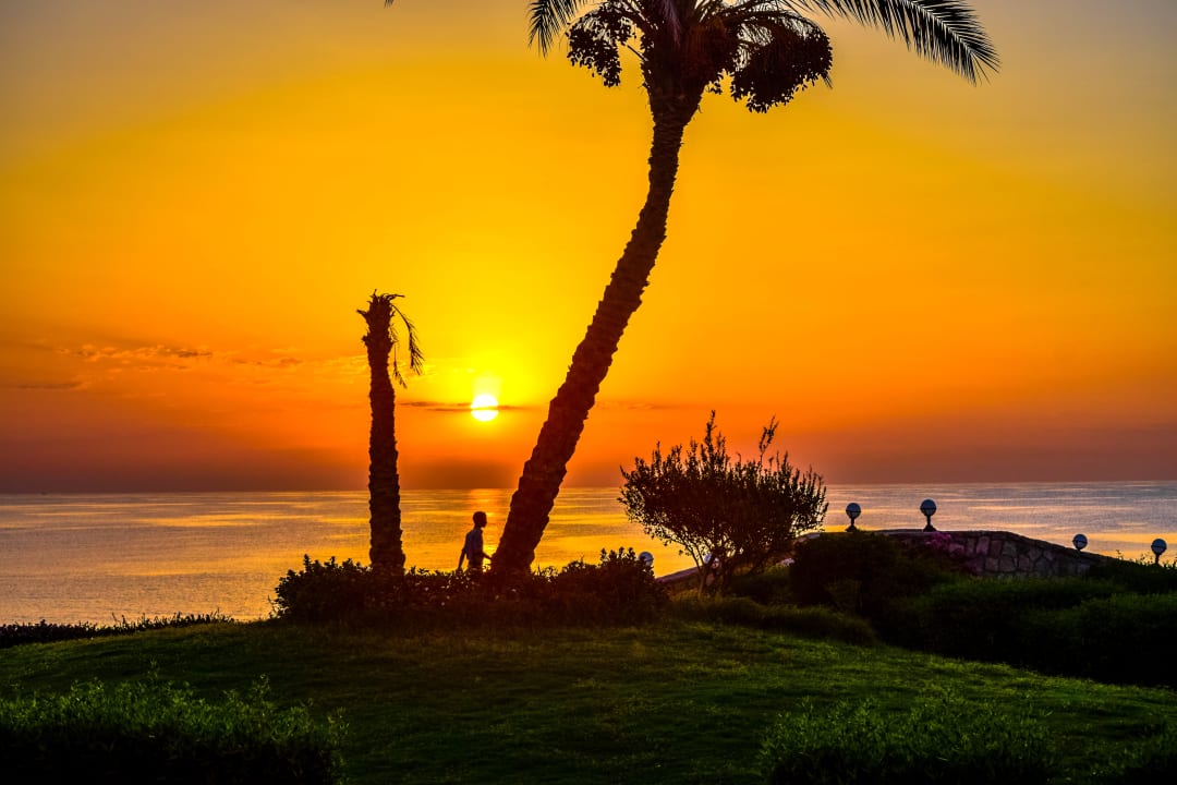 Gartenanlage Three Corners Equinox Beach Resort