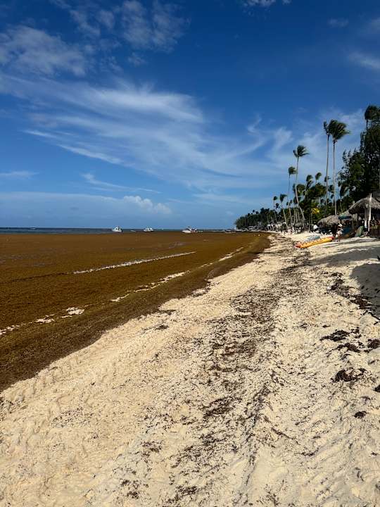 Strand Grand Palladium Punta Cana Resort & Spa