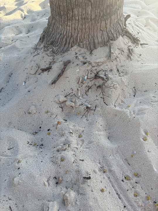 Strand Hotel Riu Playacar