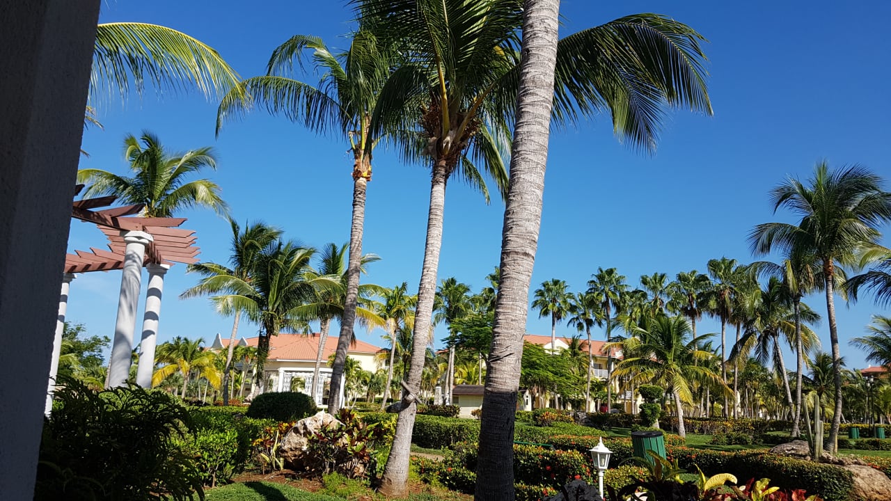 Gartenanlage Paradisus Princesa del Mar Resort & Spa - Adults only