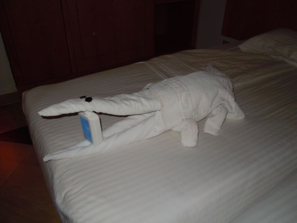 Help, ein Krokodil Beach Albatros Resort