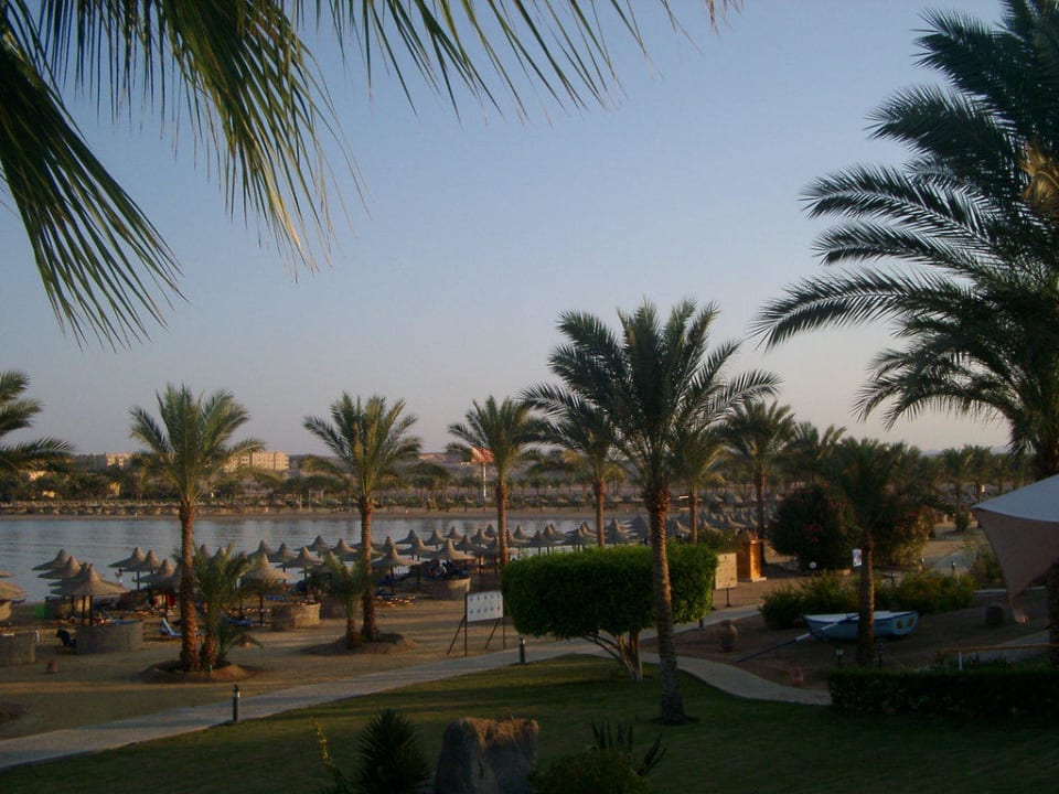 Hotelstrand Steigenberger Coraya Beach - Adults only