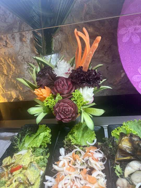 Gartenanlage Pickalbatros Citadel Resort