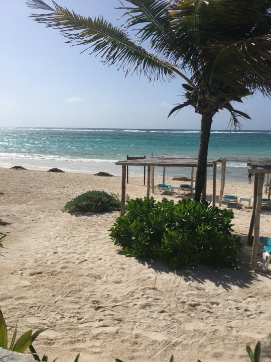 Strand Akumal Bay Beach & Wellness Resort