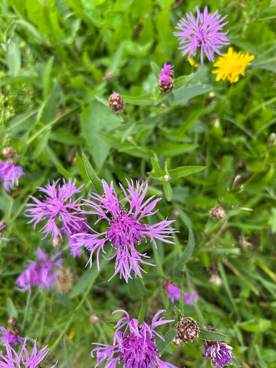 Außenansicht Gasthaus Moosegg