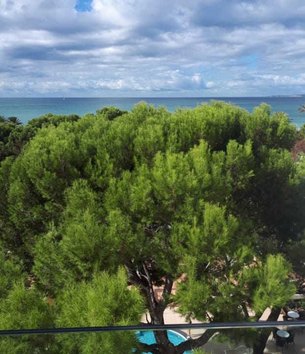 Ausblick Aparthotel Houm Plaza Son Rigo