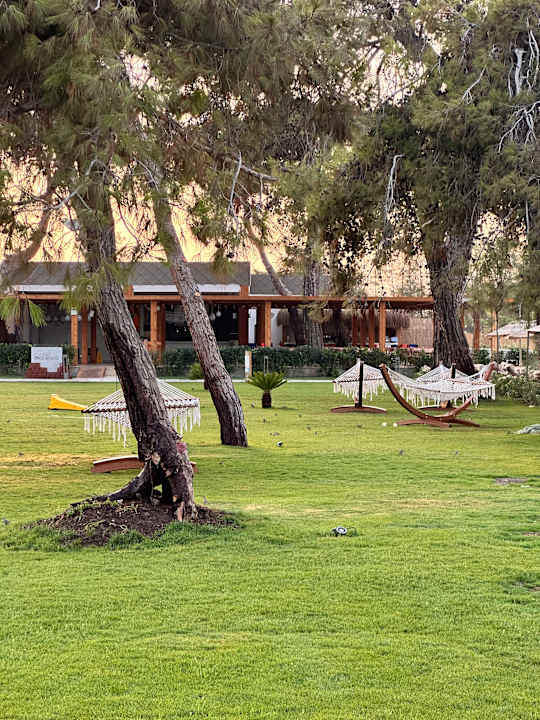 Strand Liberty Signa