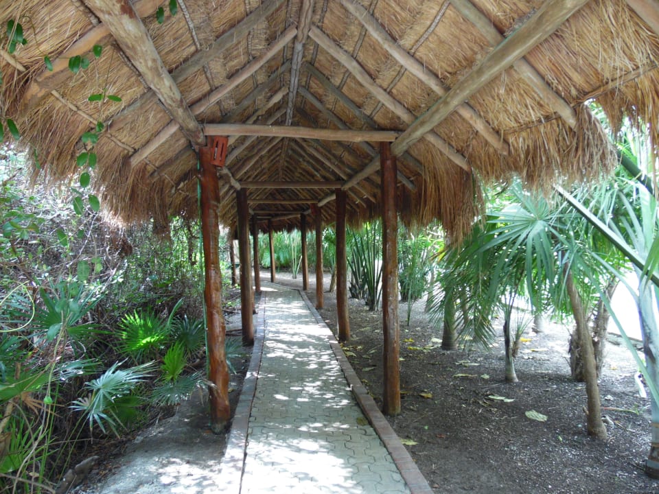 Hotelweg Grand Palladium Select White Sand Resort & Spa