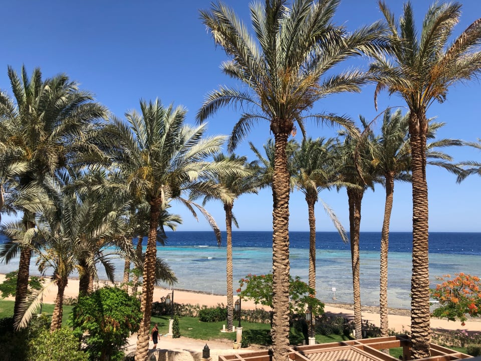 Strand Makadi Spa - Adults only