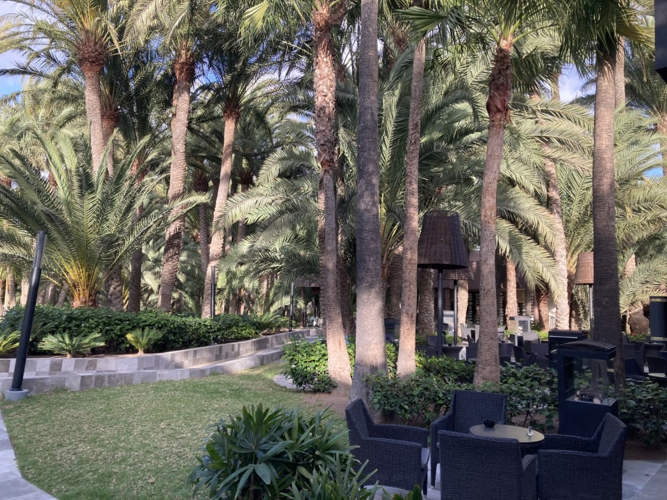 Gartenanlage Hotel Riu Palace Oasis