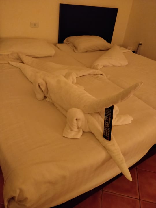 Zimmer Three Corners Sea Beach Resort