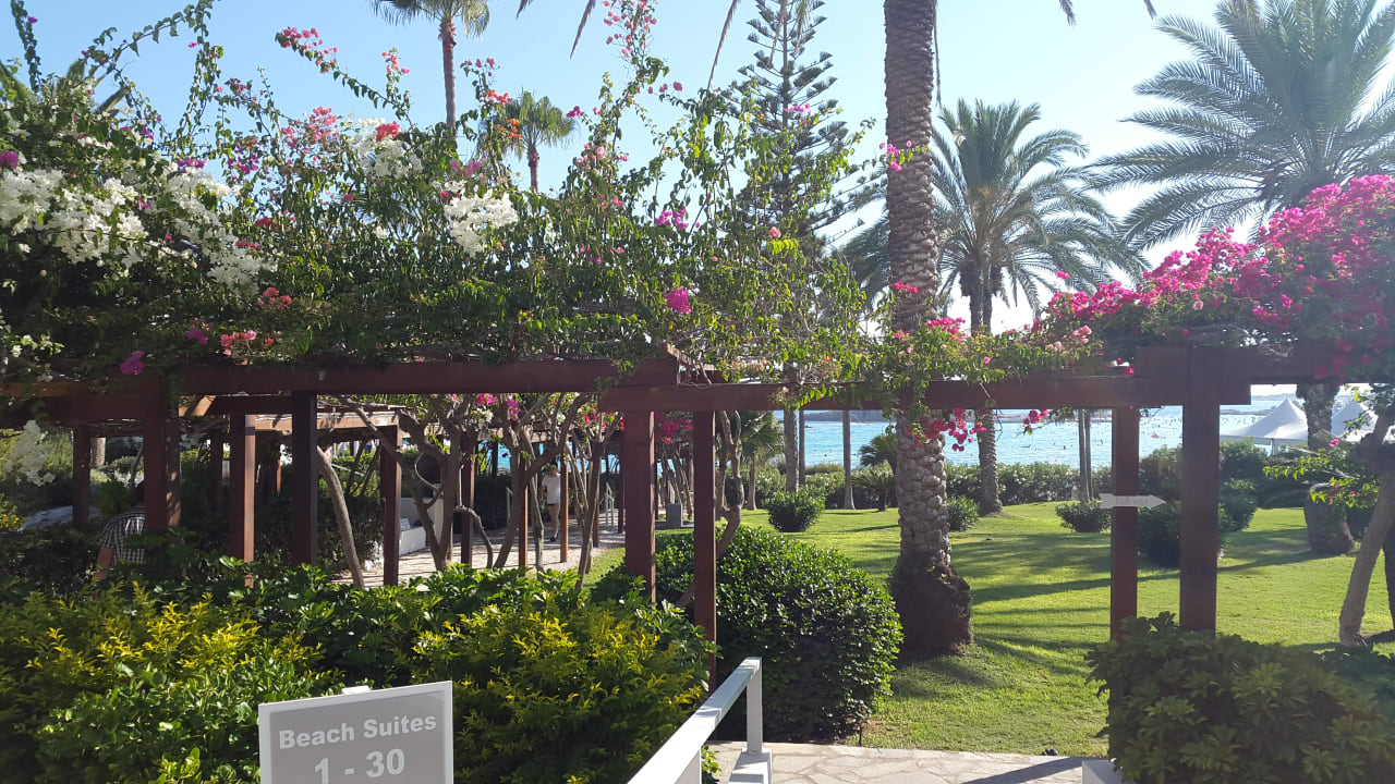 Gartenanlage Hotel Nissi Beach Resort