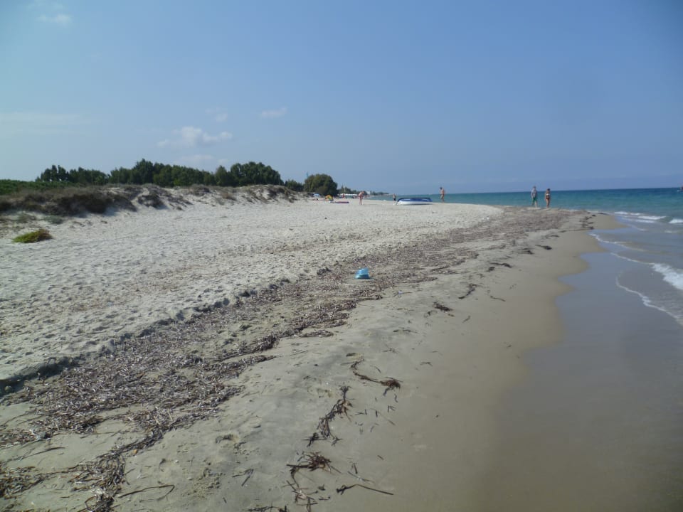 Strand Palladium