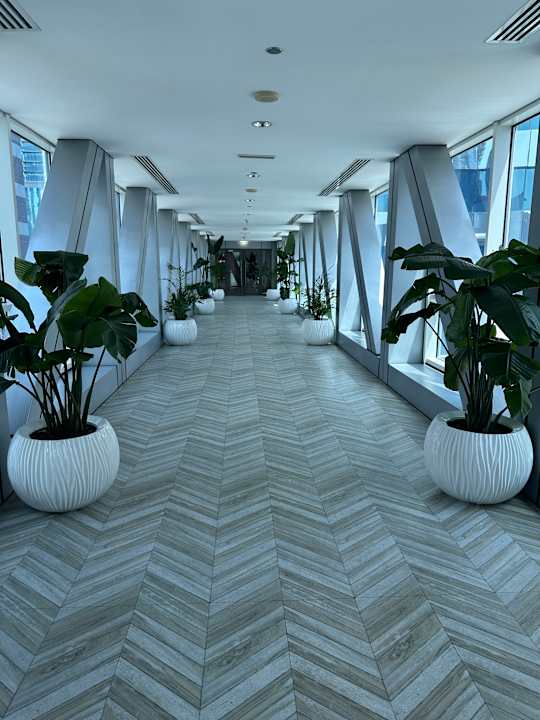 Pool Rose Rayhaan by Rotana