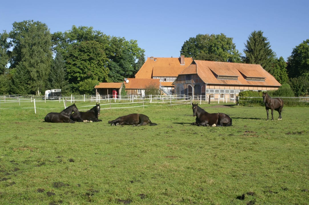 Города Германии. Саксония-Анхальт. Часть 1 Германии, СаксонияАнхальт, СаксонииАнхальт, Анхальт, также, города, Саксония, Саксонии, прикладных, университет, герцогство, земля, территория, находится, землёй, Магдебург, СаксенВиттенберг, Галле, промышленность, который