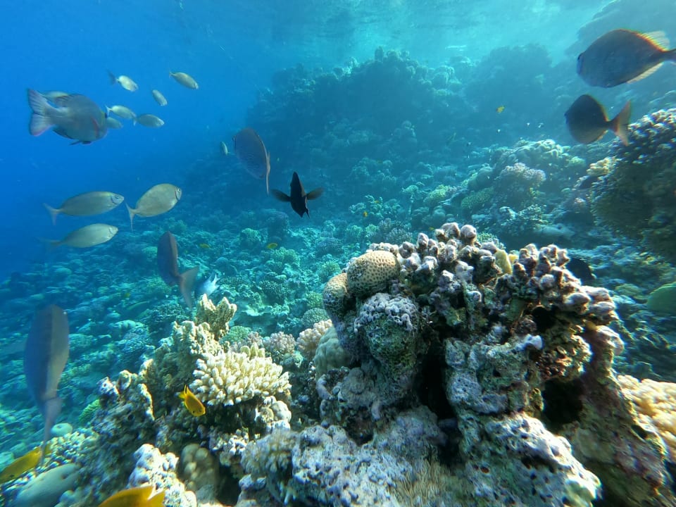 Strand Makadi Palace