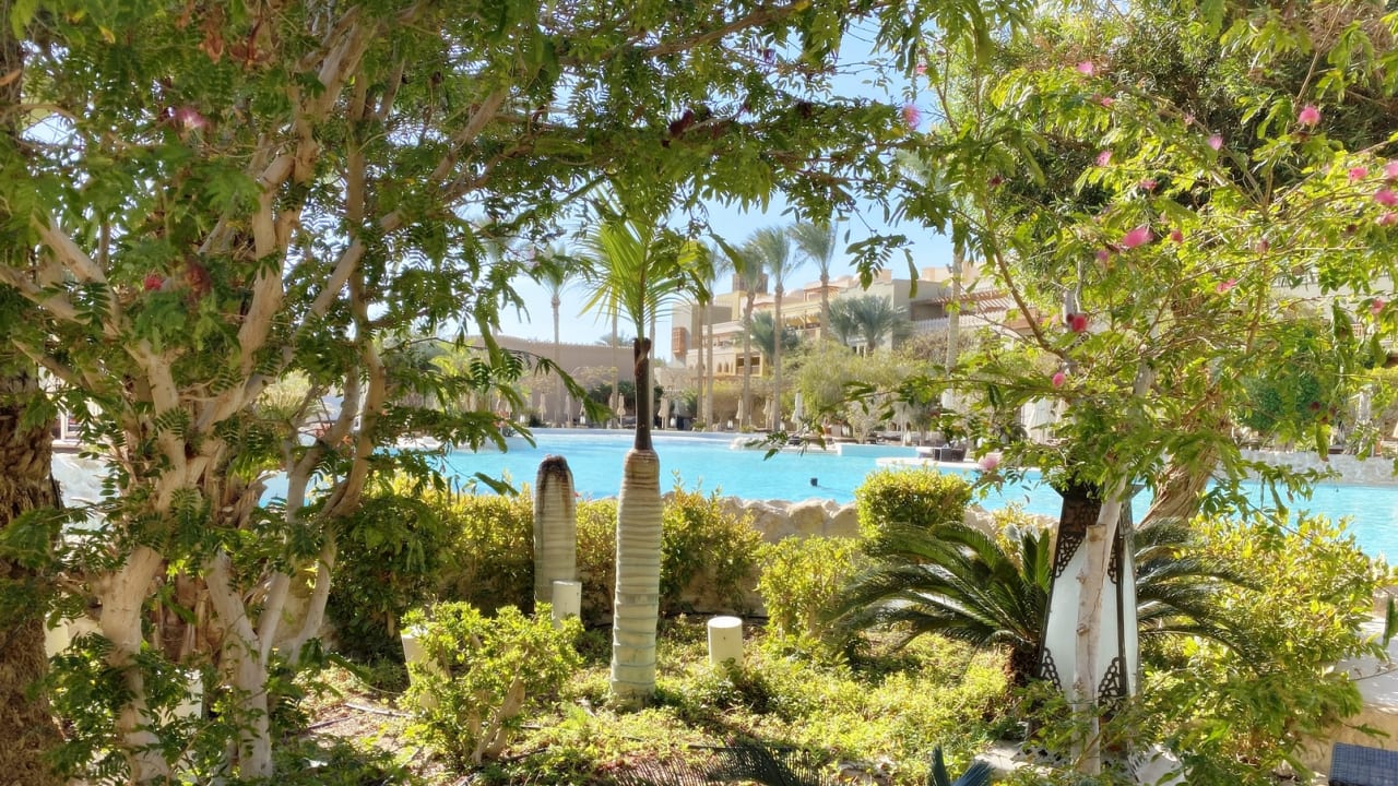 Gartenanlage Makadi Spa - Adults only