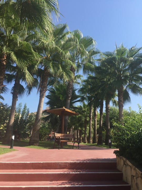 Gartenanlage Hotel Miramare Beach