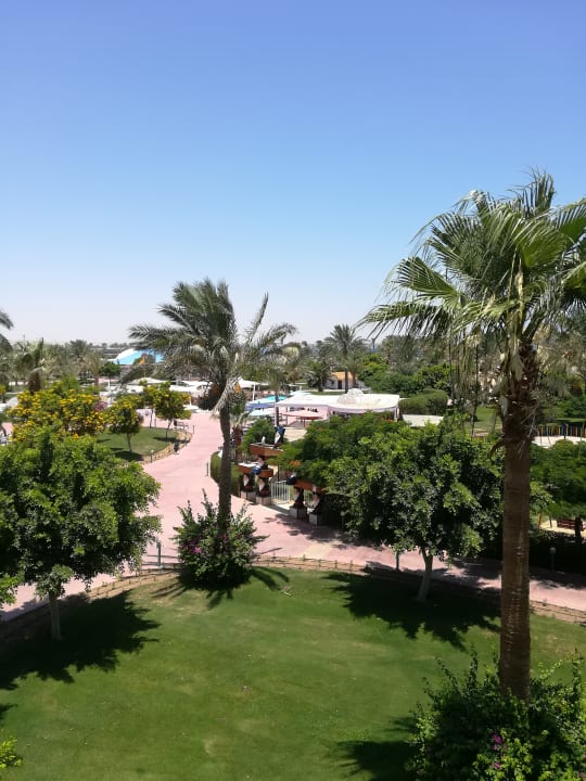 Außenansicht Desert Rose