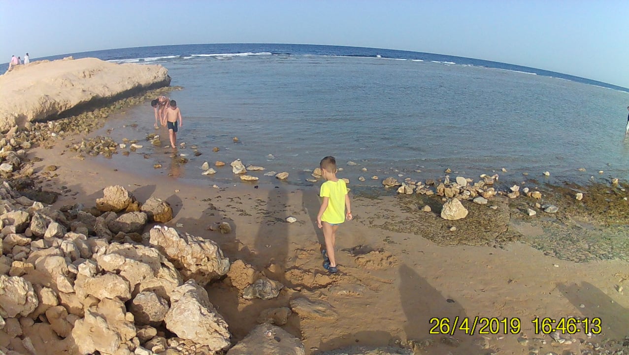 Strand Serenity Alma Heights