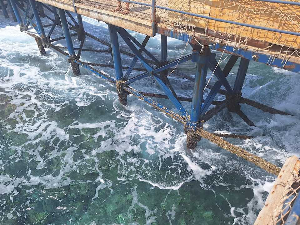 Strand JAZ Neo Reef Marsa