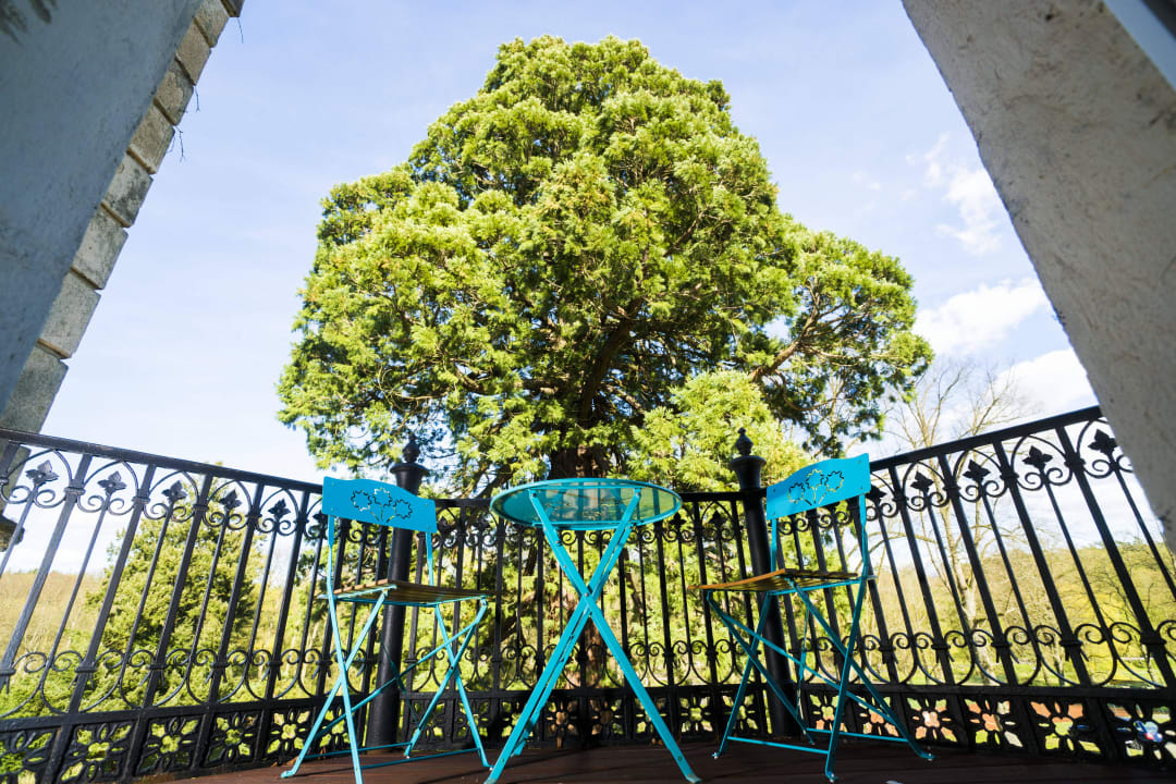 Balkon am Mammutbaum Hotel Schloss mit Park Kaarz