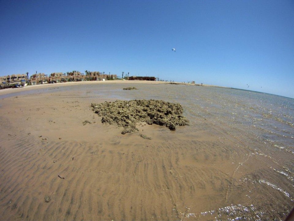 Ebbe Shams Prestige Abu Soma-Adults Only