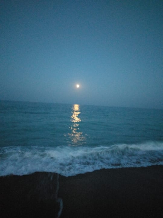 Strand GRIFID Vistamar