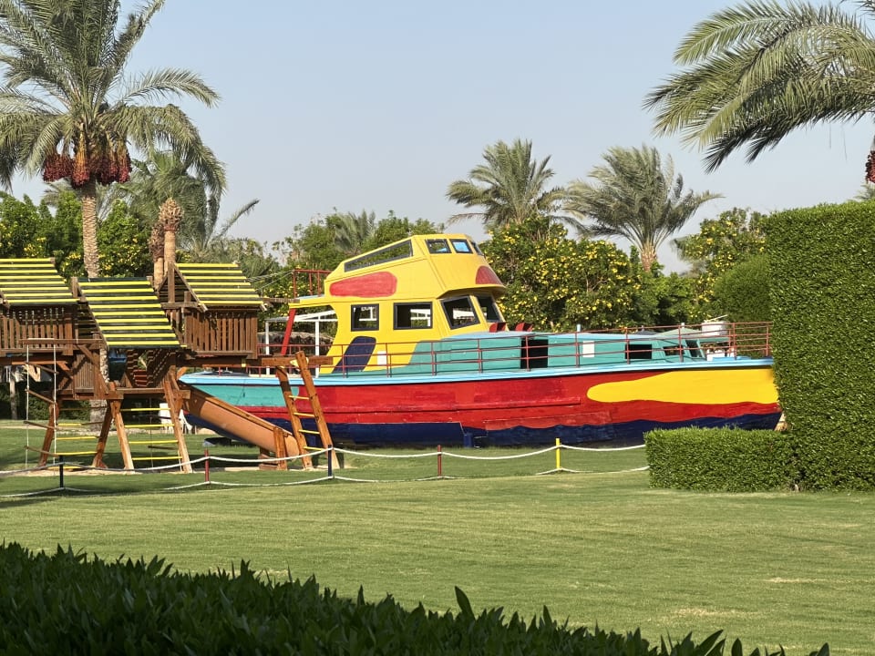 Sport & Freizeit Desert Rose