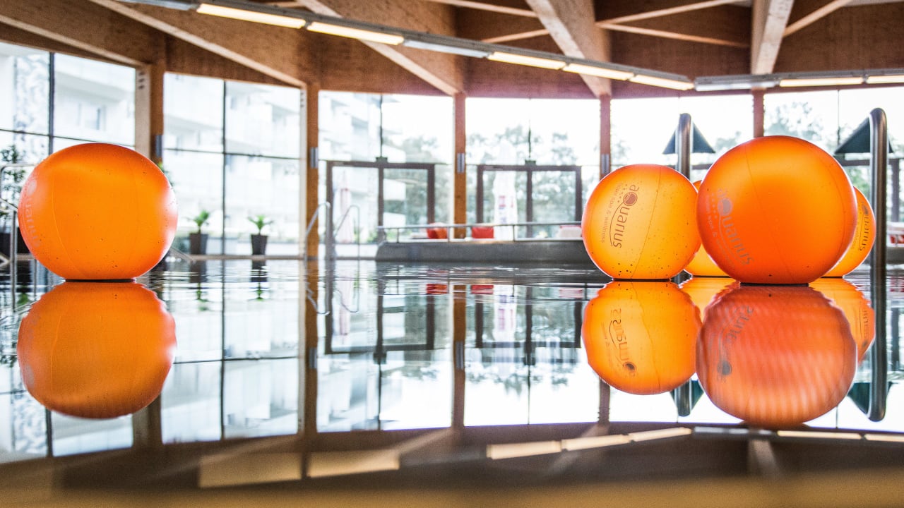 Basen rekreacyjny Hotel Aquarius Spa