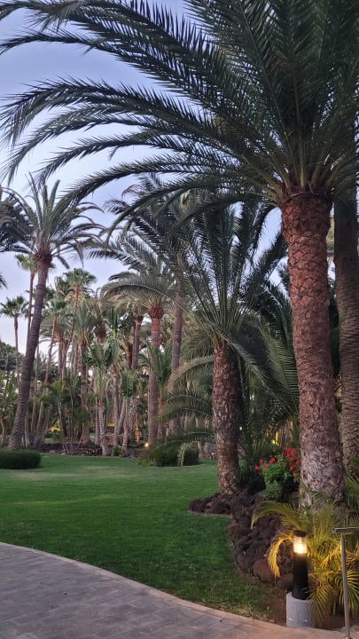 Gartenanlage Hotel Riu Palace Oasis