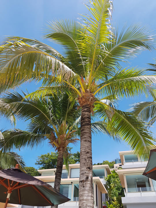 Ausblick Bandara Villas Phuket