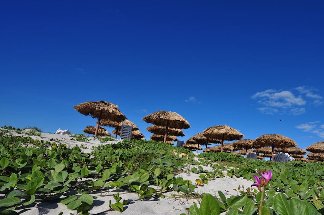 Strandimpression Iberostar Origin Laguna Azul